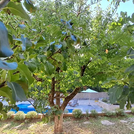 Villa House Tone, Imotski-drum-makarska Drum